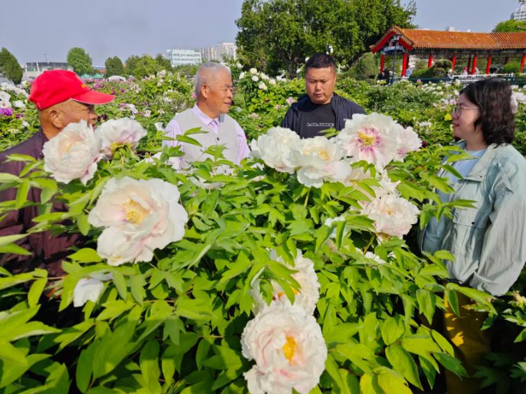 国色千年 花开新章