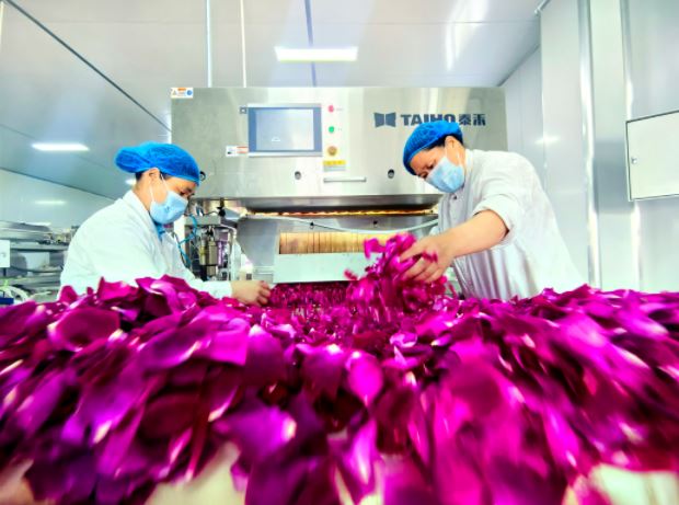 精深加工延链条