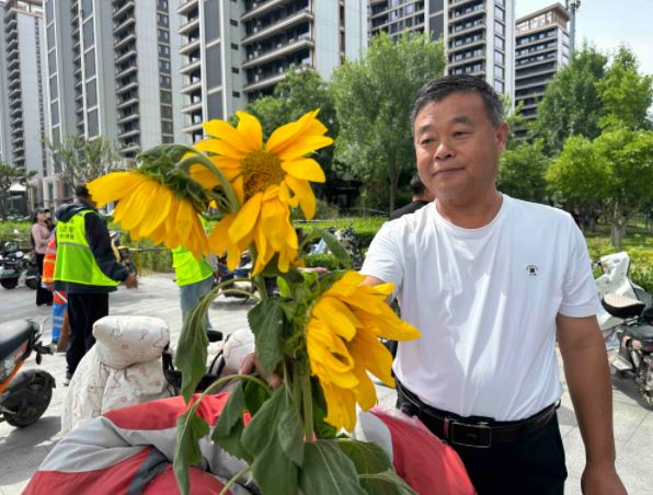 父亲自种向日葵送祝福