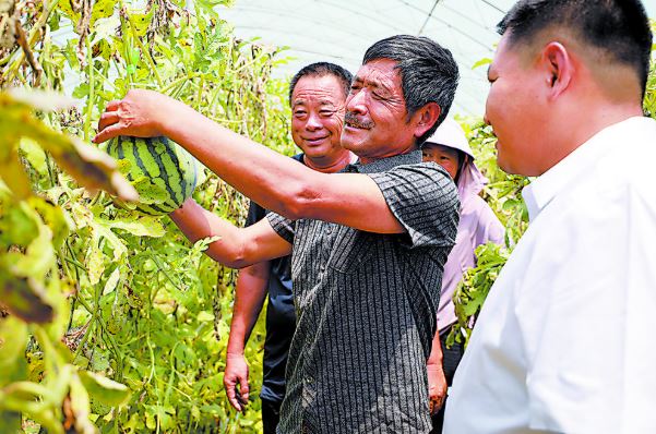 “点单送学”进瓜田