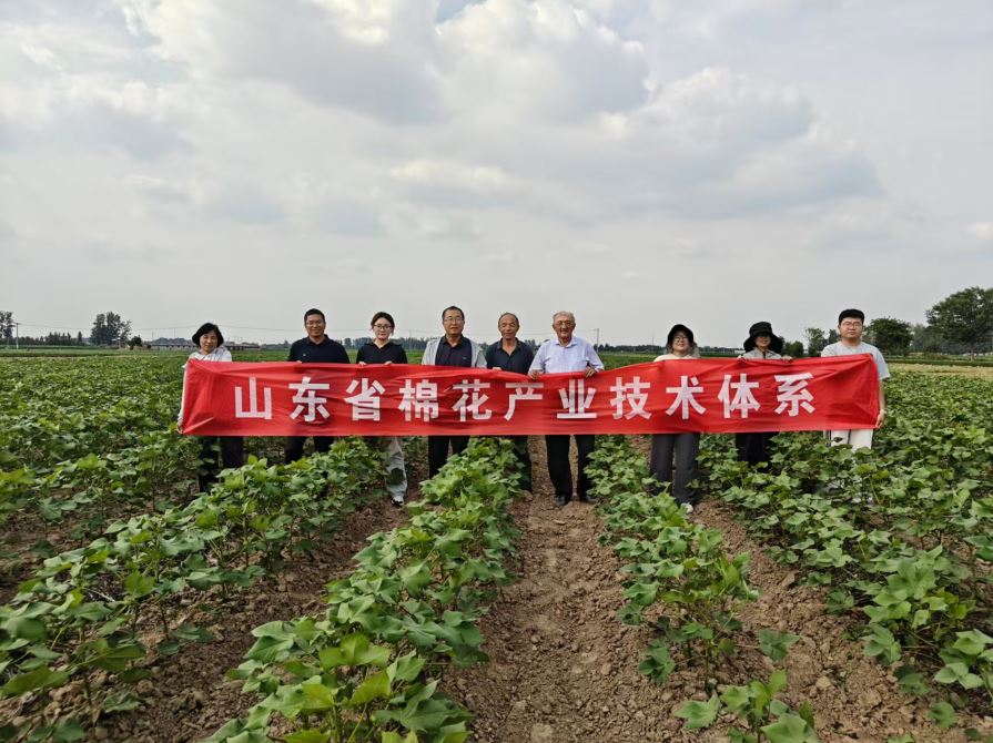 良种良法促稳产